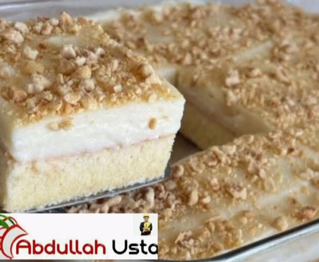 Bol Sütlü Nefis Borcam Pastası